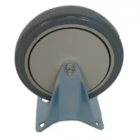 Rodizio fixo 6